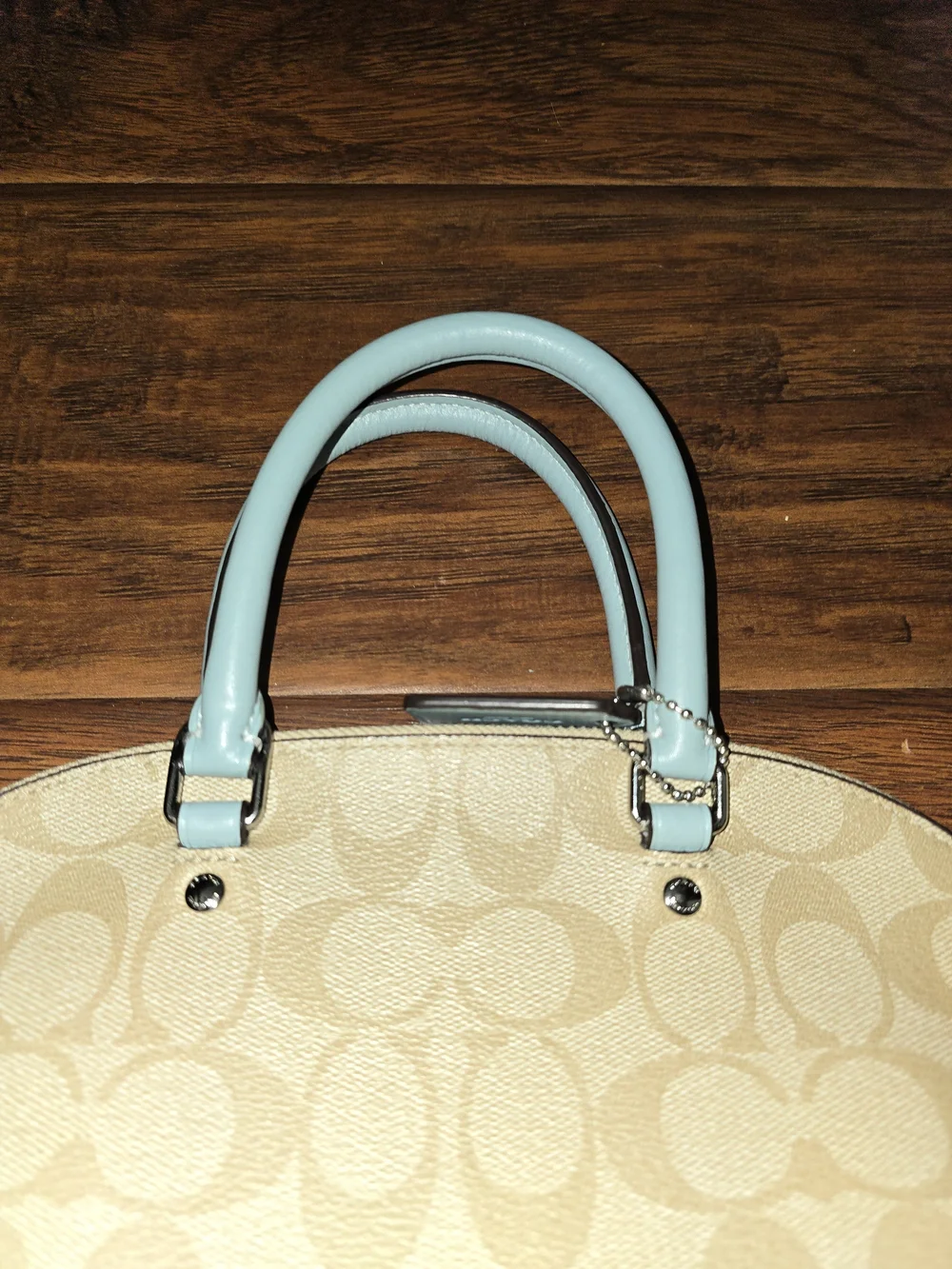 Coach Signature Dome Satchel in Light Blue and Beige